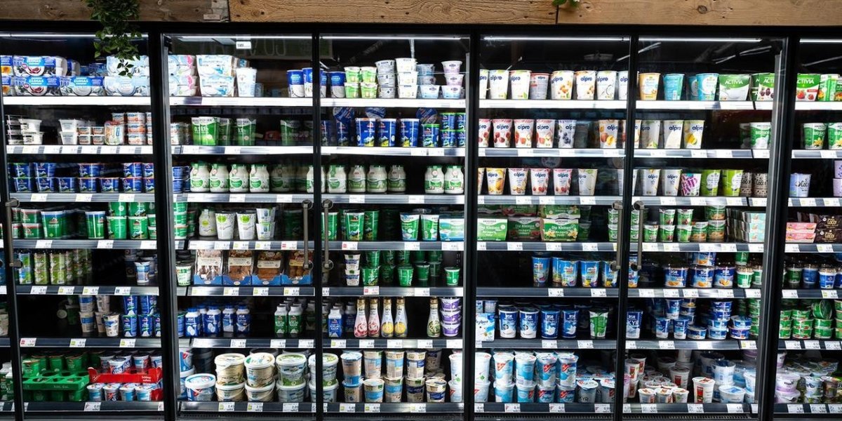Almanya'da süt ürünleri zamlanabilir: Tüketicilerin alışveriş faturası artabilir